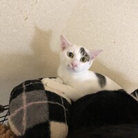 ぼっこ