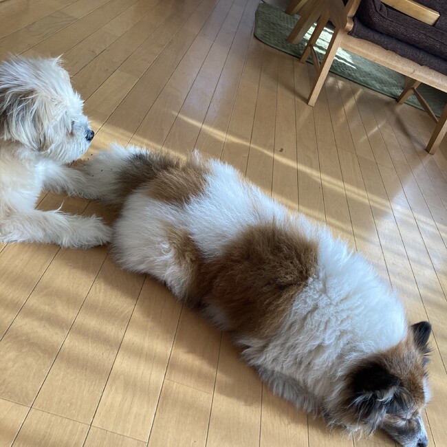 otnnkrnrmnのカバー写真