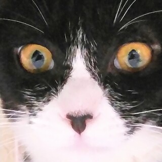 ミッキーマークの女の子