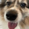 ドアップも可愛い