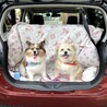 ひめもごんも車でお出かけするのが大好き