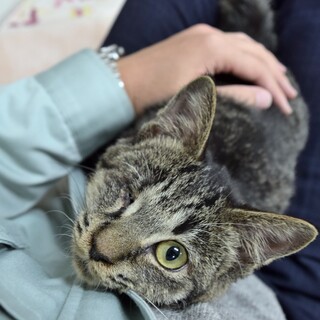 右目がありませんが、とっても人懐っこいマサくんです