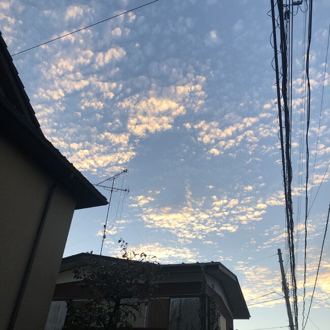 AiSatoのカバー写真