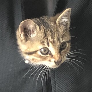 性格はなまる、お顔も可愛い男の子。