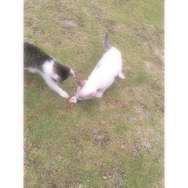 にしむら24のカバー写真