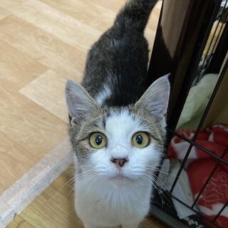なつみちゃん　３ケ月半の 女の子　