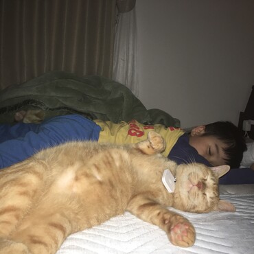 息子と一緒に眠っています