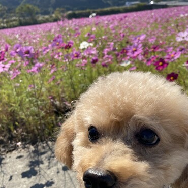 の写真