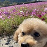の写真