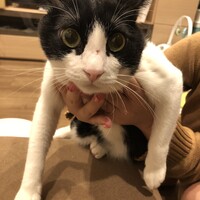 もお