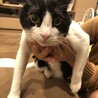 もお
