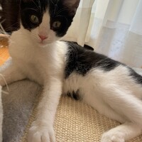 おちょ