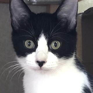 人馴れバツグン！おてんばなフローラちゃん