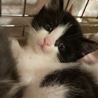 11/28Terra里親会に参加❣️