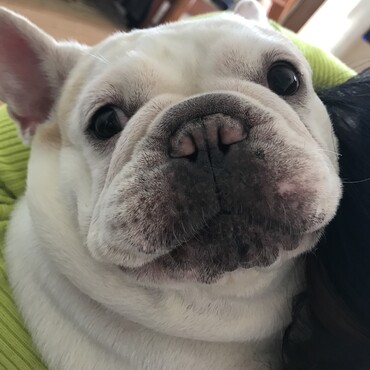 belleちゃん^_^