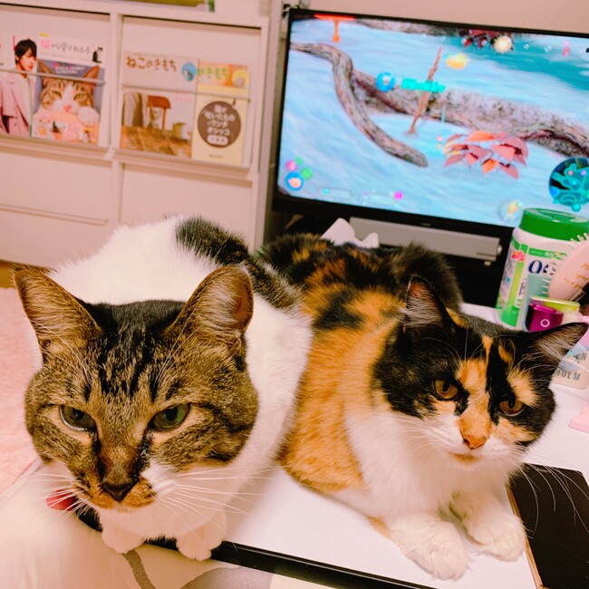 かんなちゃん。のカバー写真