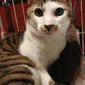 受け入れ先が決まりました。