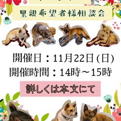 オンライン里親希望者様