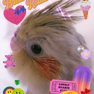 の写真
