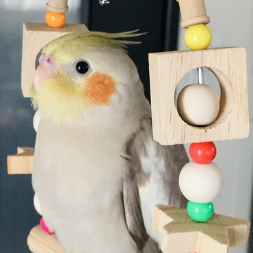 の写真