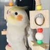 の写真