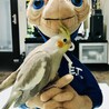 の写真