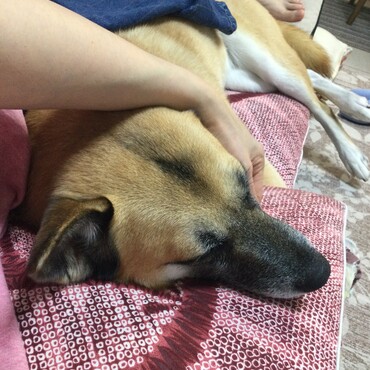 の写真