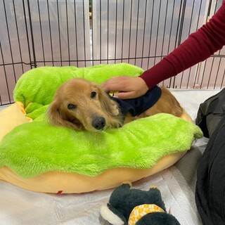 人が大好き ミゲル君☆