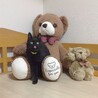 小柄で凛々しい黒猫のヤマトくん☆ サムネイル3