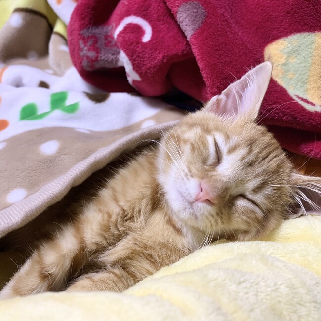 あいみー28のカバー写真
