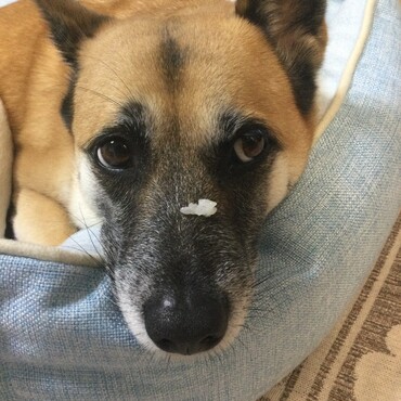 気が付かないね