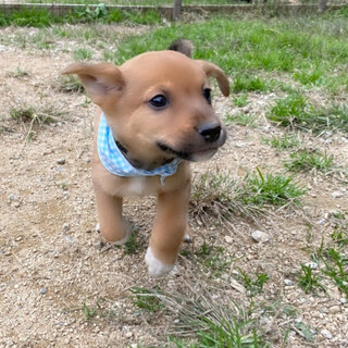 賢いミルク君1ヶ月半