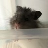 出るぞ、でスタンバイ中