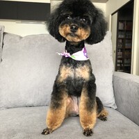 mortimer モーティマー