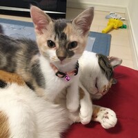 くりむ