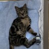 相棒のネズミおもちゃとの2ショット