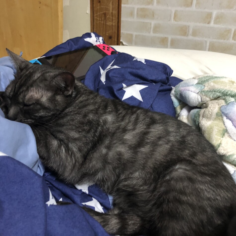 せんむのカバー写真