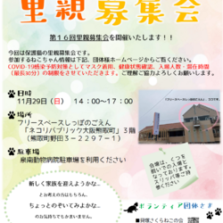 第１６回猫の里親募集会