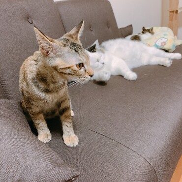くつろぎ中