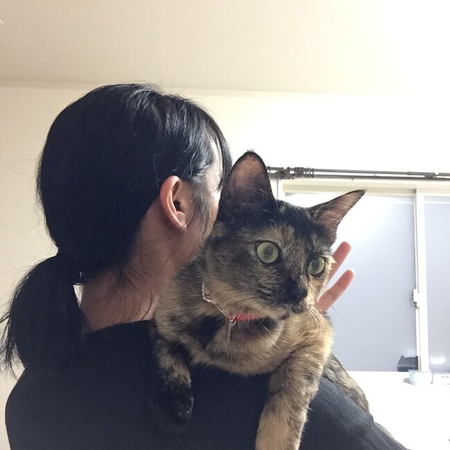 こなちいのカバー写真