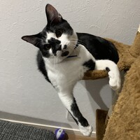 フウト