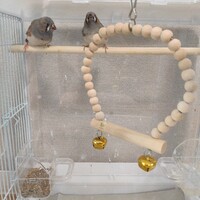 あーちゃん　いーちゃん