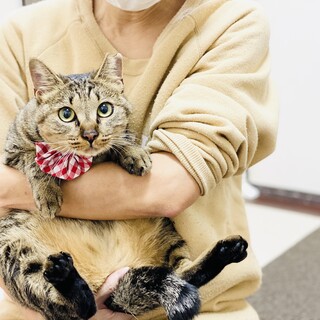 抱っこ姫のとわちゃん【大阪市】
