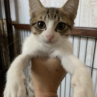 そばにいてね★みつ