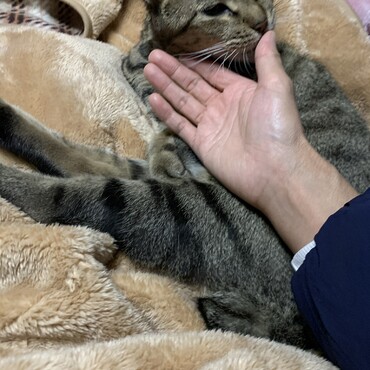 甘えてます。