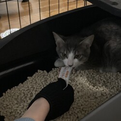 「トライアルお届け！」サムネイル1