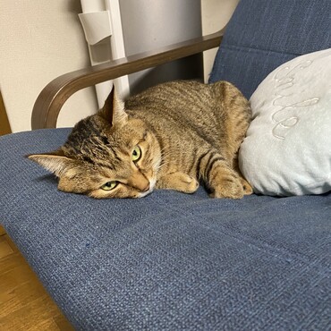 の写真
