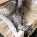 いまが1番可愛い時❤︎たんくん