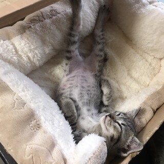 いまが1番可愛い時❤︎たんくん