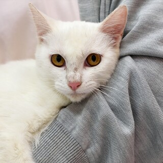 ゆきな嬢。素直でかしこい良い子。